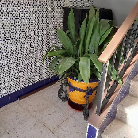 Disfruta De Un Barrio Tranquilo Apartment